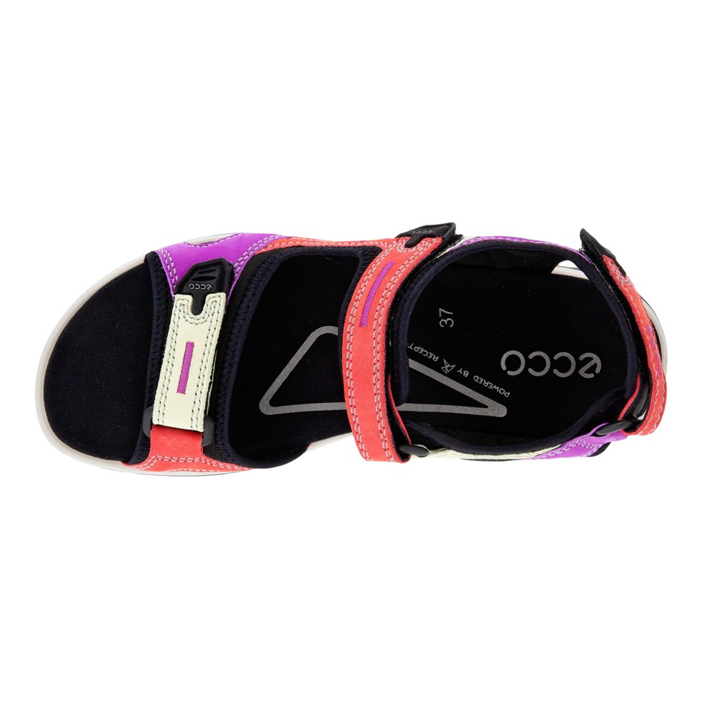 Sandalias Mujer - ECCO Offroad Flat - Multicolor - RNH739086